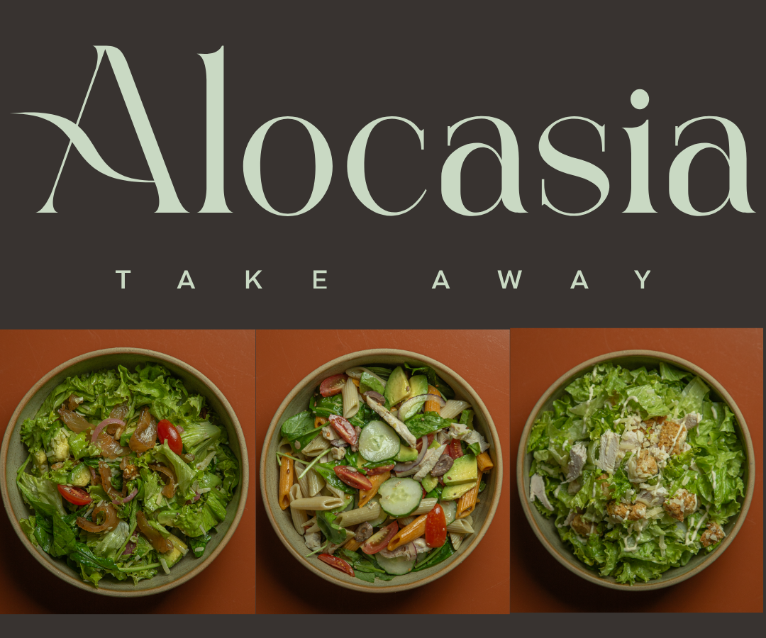 Bowls de ensaladas listos para llevar del take away de Alocasia